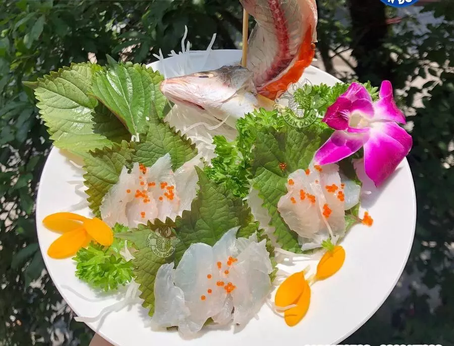 sashimi hải sản biển đông