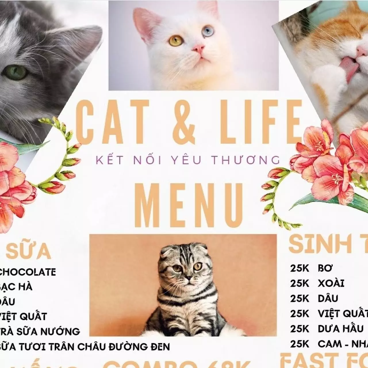 thiết kế menu quán cà phê mèo