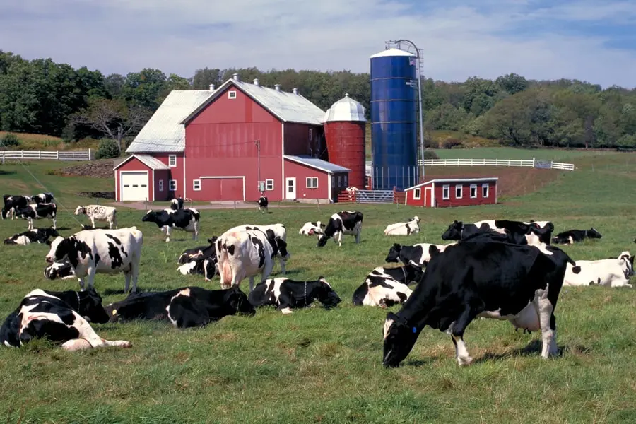 quy trình sản xuất sữa của neutral foods gắn bó chặt chẽ với mục tiêu bền vững và thân thiện với môi trường