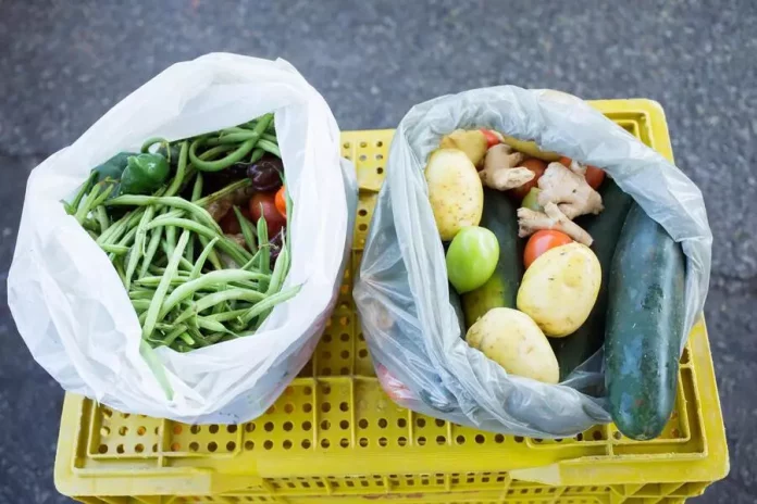b4waste chiêu mộ giám đốc