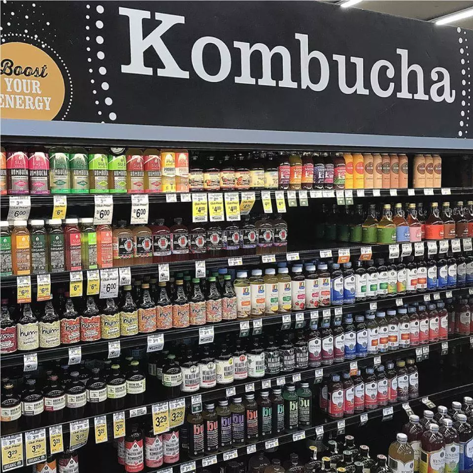 phân phối kombucha