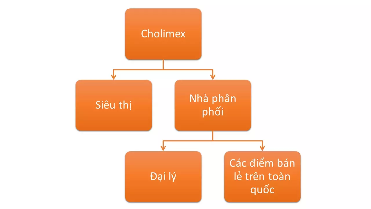 chiến lược phân phối của cholimex food