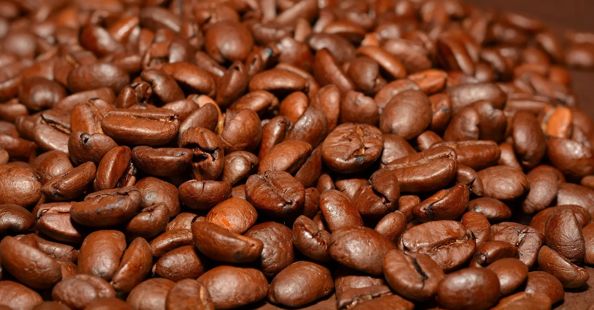 hạt cà phê chất lượng