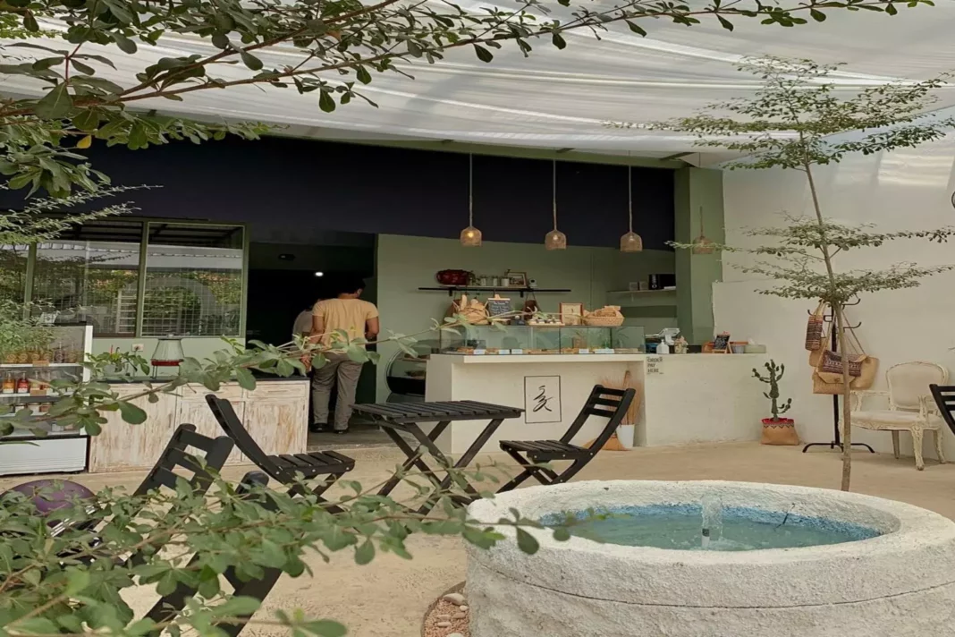 quán cafe cây xanh độc đáo