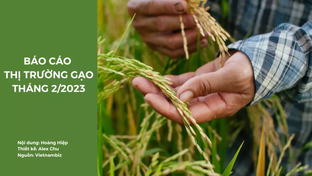 báo cáo thị trường gạo tháng 2-2023