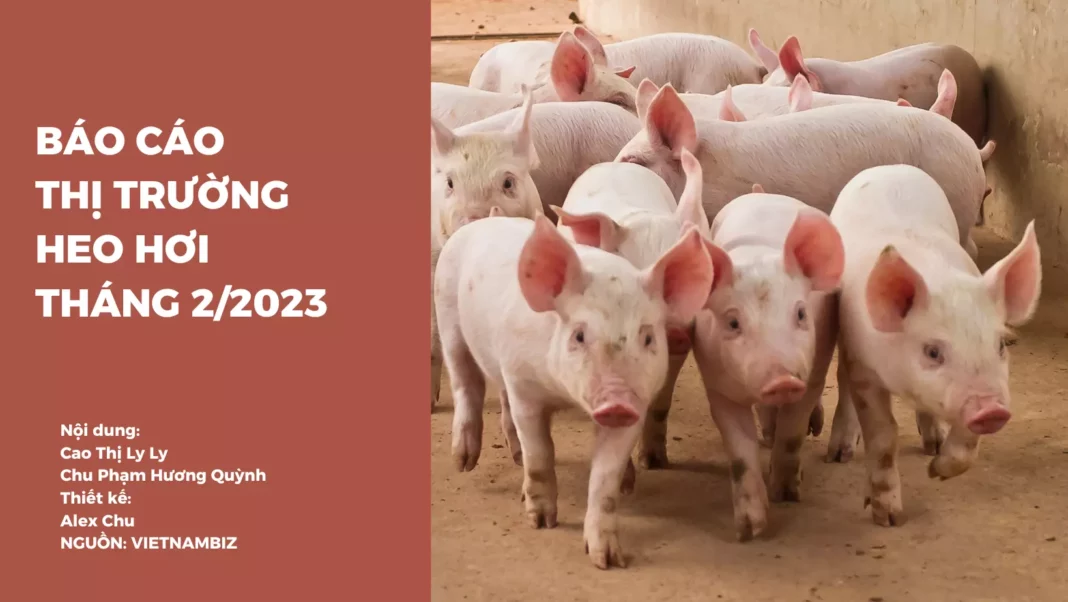 báo cáo thị trường heo hơi tháng 2/2023