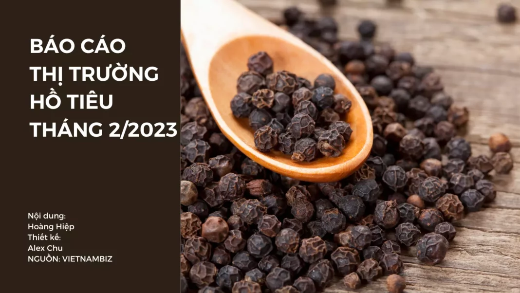 báo cáo thị trường hồ tiêu tháng 2/2023
